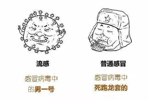 河间市有多少人口_沧州16区县人口一览:河间市100万,运河区35万