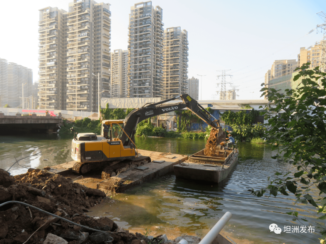 坦洲镇经济gdp_经济图片(2)