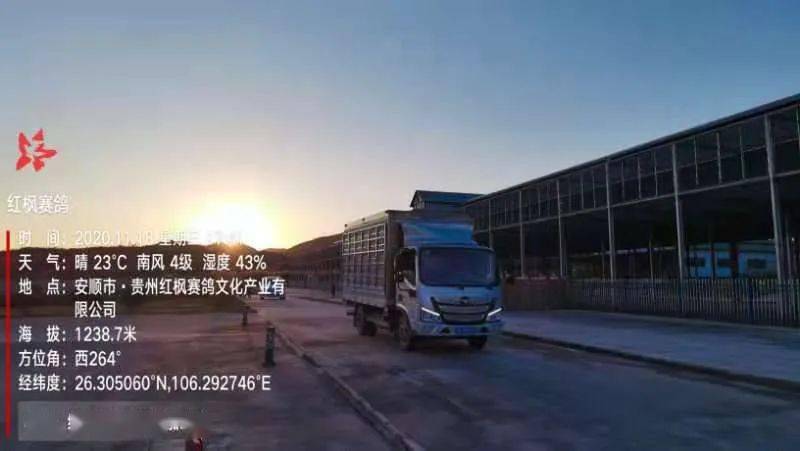 
红枫大棚第四关加站赛集鸽现场视频及图片：华体会体育hth官方网站(图19)