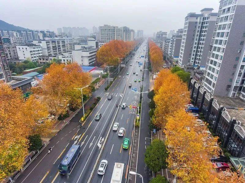 襄阳市区人口_重磅消息 襄阳未来将发生巨变,看完你绝对不想离开(3)