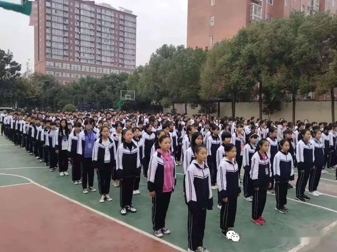 南阳市新世纪实验学校招聘小学,初中,高中教师启事