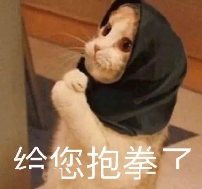 看不起你_表情