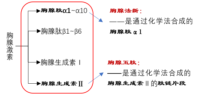 胸腺肽,胸腺五肽,胸腺法新之间的区别!