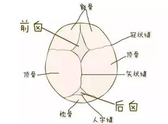 宝宝的囟门该怎样护理