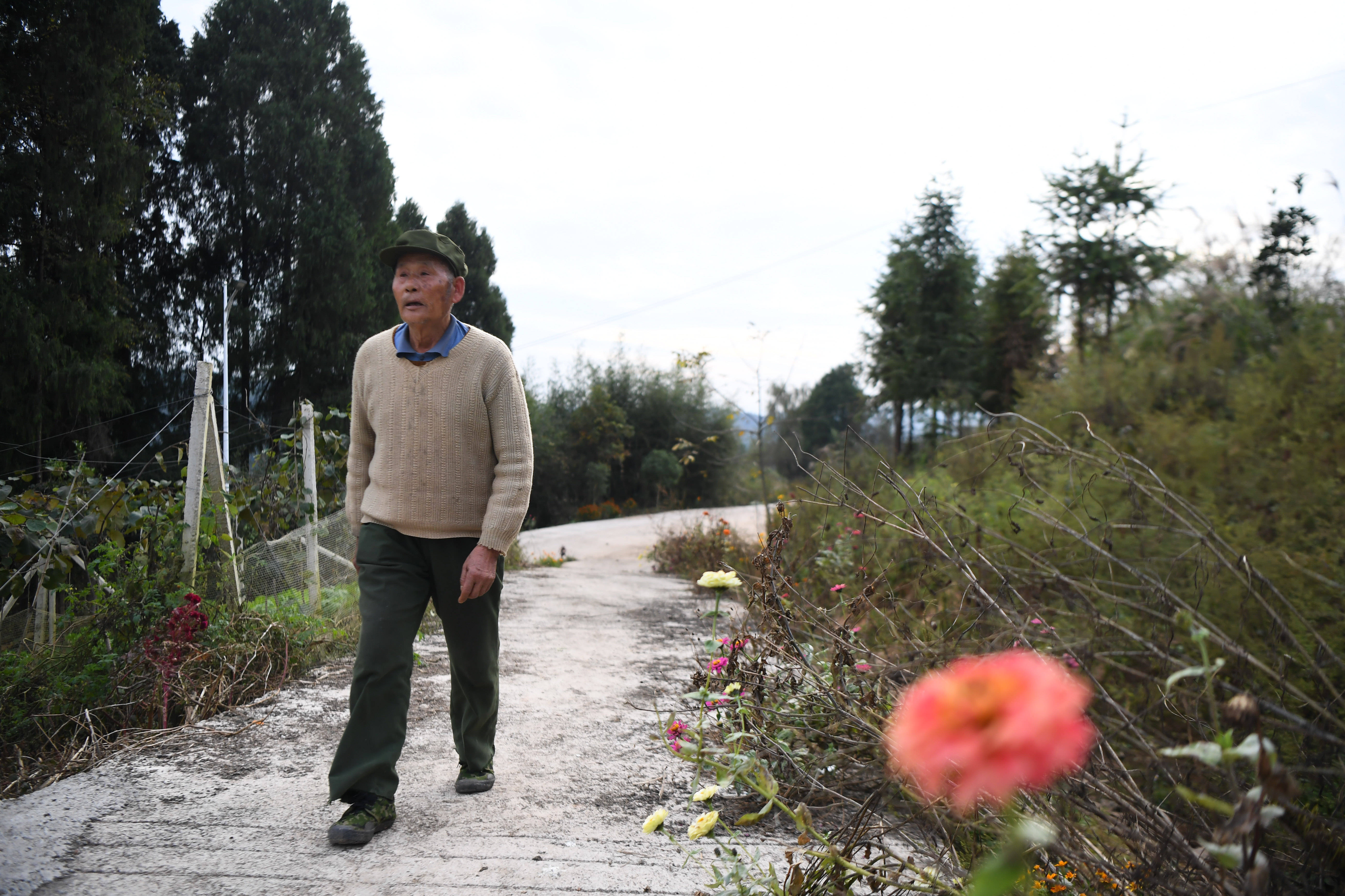 11月15日,彭国飞走在湘西芙蓉镇杨木村中.