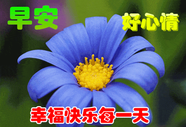 早上好问候美图,早安问候语句.