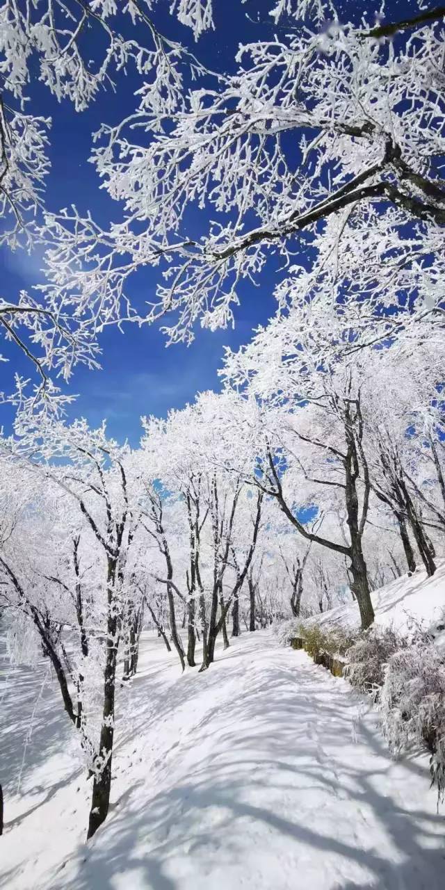 洛阳要下雪啦雪后这些地方的景色千万别错过