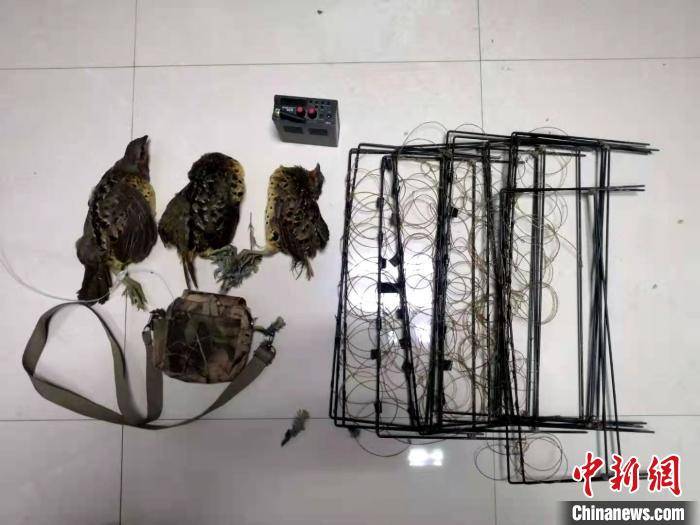 电媒排行_四川达州男子用“电媒”模拟播放动物叫声捕获竹鸡被警方抓获