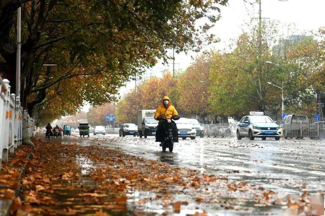 一场冬雨落叶满城最美是济宁