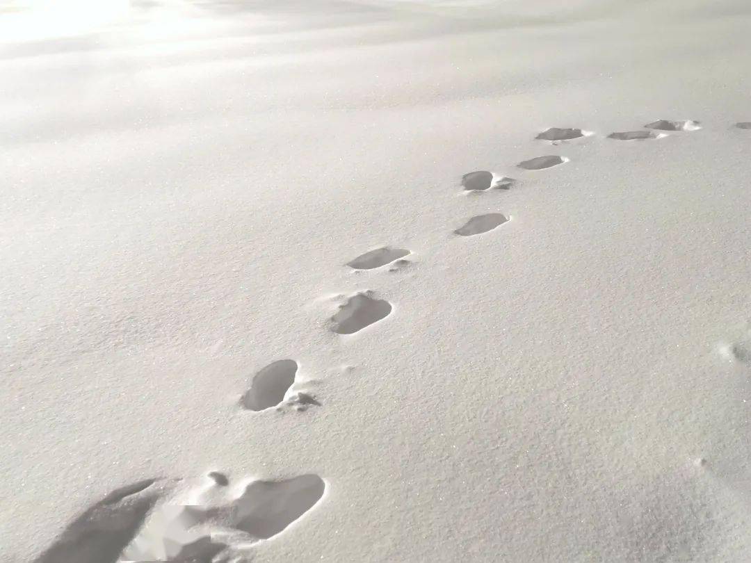 第一场大雪 难道这就是北方吗