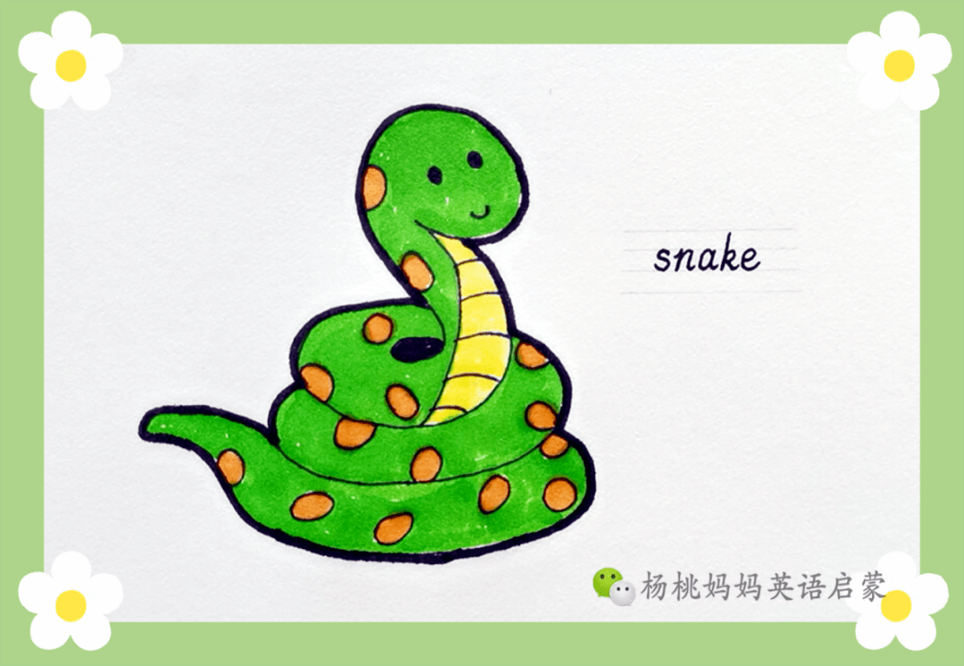 英语萌萌画 | snake 蛇