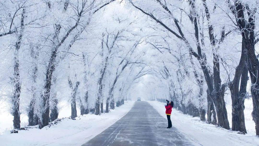 畅游绥化冰雪芳华绥化市冬季旅游推广季火热上线