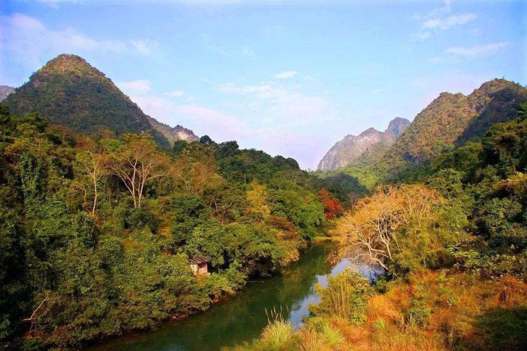 初冬美景 森林相伴,走进国家森林公园,带你领略江西炫彩的独好风景