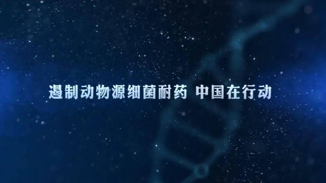 源细菌耐药 中国在行动—2020年提高抗微生物药物认识周"宣传资料