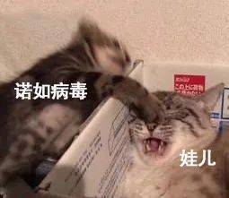 b13562e01e584dab99de236929402198.jpeg