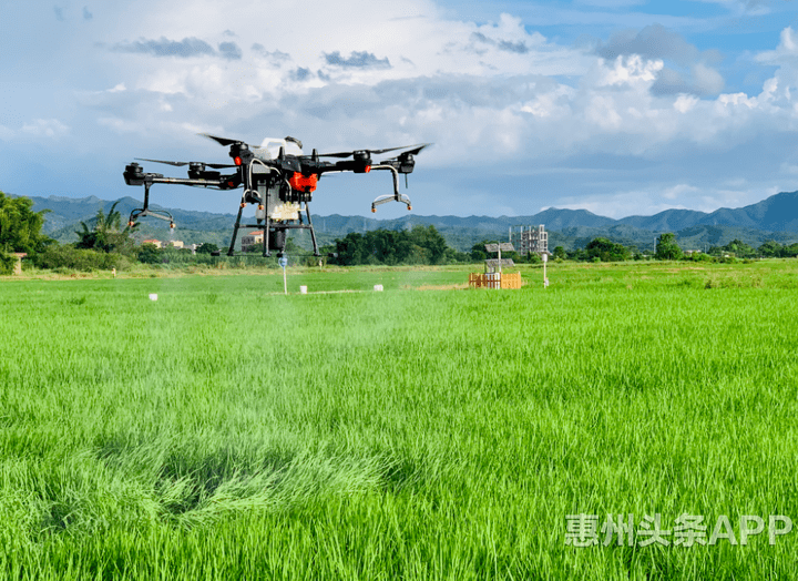 在水口用无人机帮人耕田原来这么赚钱!_植保