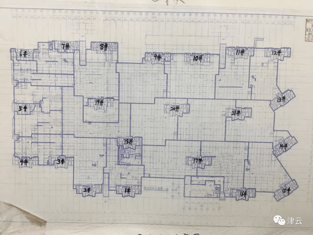 孙性人口_人口普查图片(3)