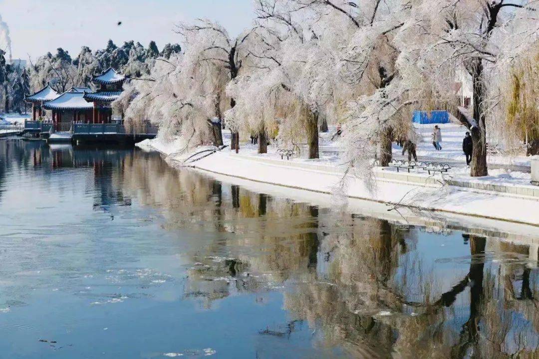 长春雪景有多美看这一条就够了