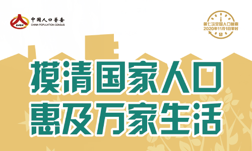 人口普查长标短表什么意思_第七次人口普查长表(2)