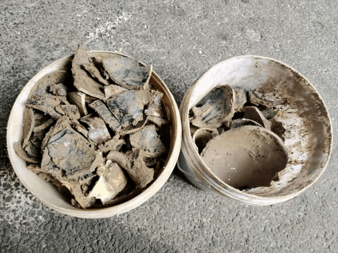 新干县多少人口_新干县县长胡军