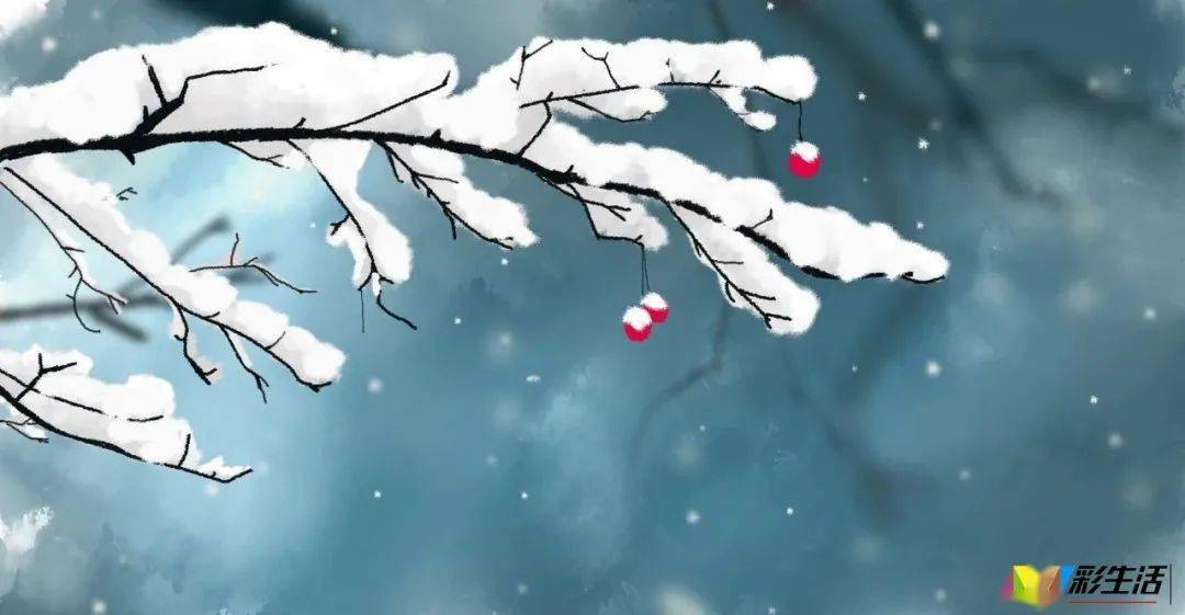 什么雪什么皑成语_雪菜是什么菜图片(2)