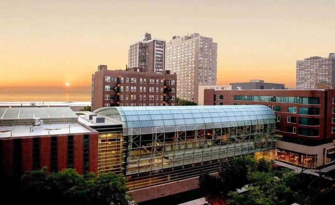 usnews2020世界大学工科排名_夸!石大位列USNews2020世界大学工科排名