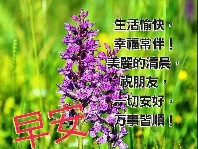 11月唯美早安发朋友圈的心情说说 ,新版早上好图片带字