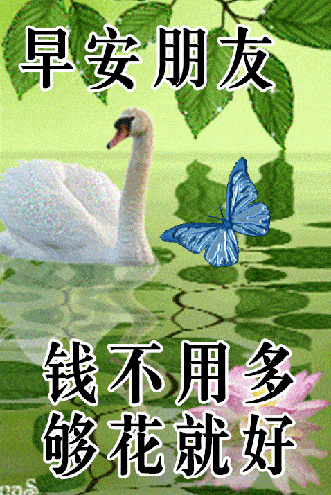 11月23日,最漂亮早上好动态表情图片大全,早晨好美图大全