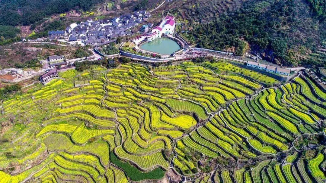 上虞这条美丽公路,有太多风景值得我们一一探寻