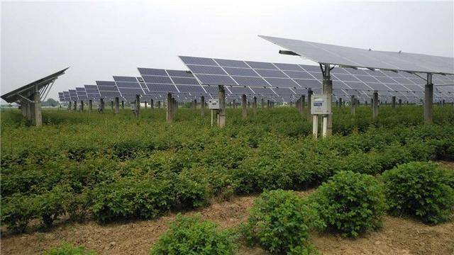 杨营镇GDP_中国gdp增长图