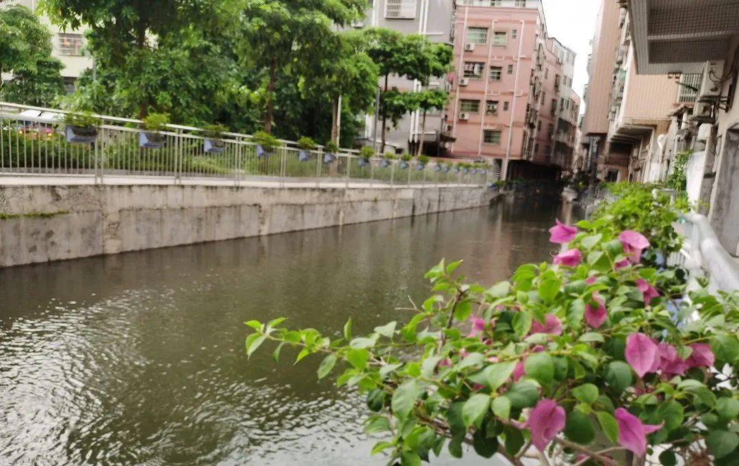 古村建起滨水骑楼街,番禺这个村焕然一新!_大山村