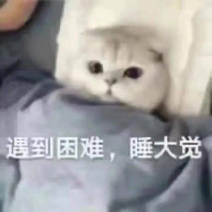 快看这是什么表情包 卑职恭请娘娘回府表情包  我准备冲了!