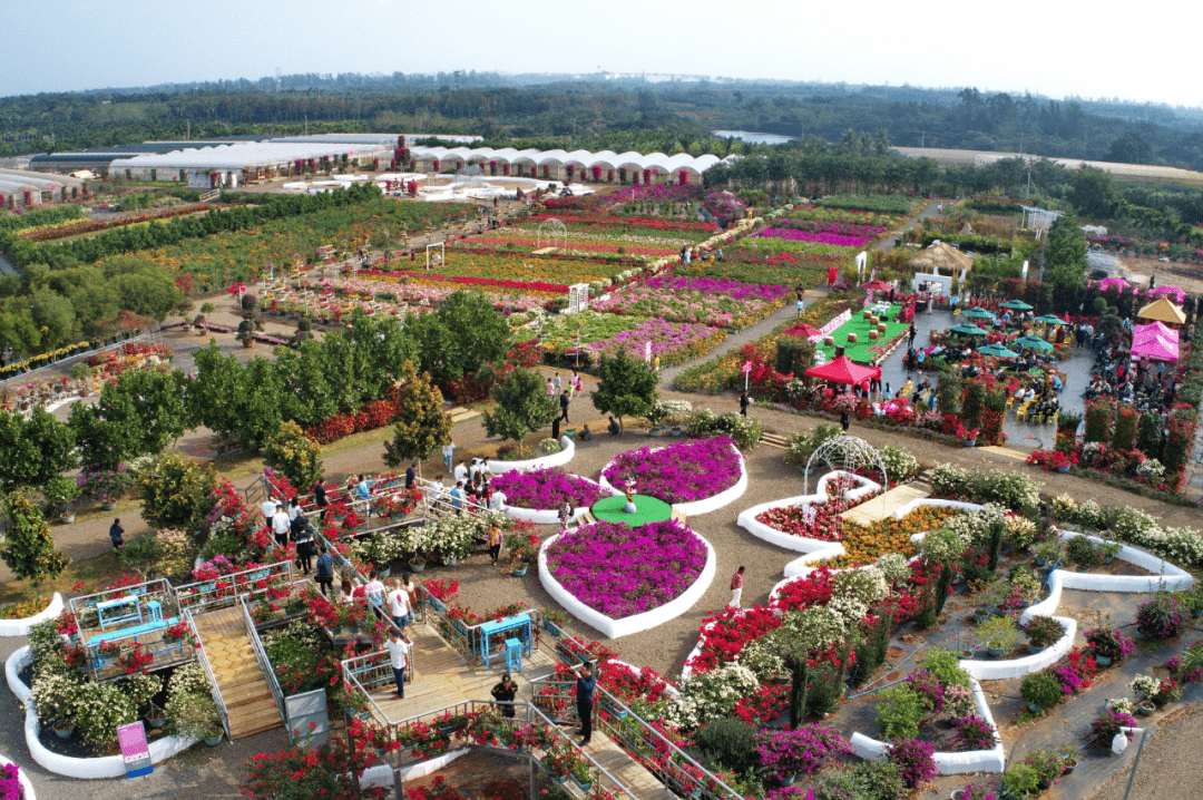 海口红旗镇gdp_海口红旗镇规划图(2)