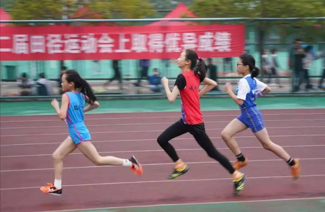 永嘉实验中学2020中_2020年永嘉县普通高中统招录取分数线出炉!