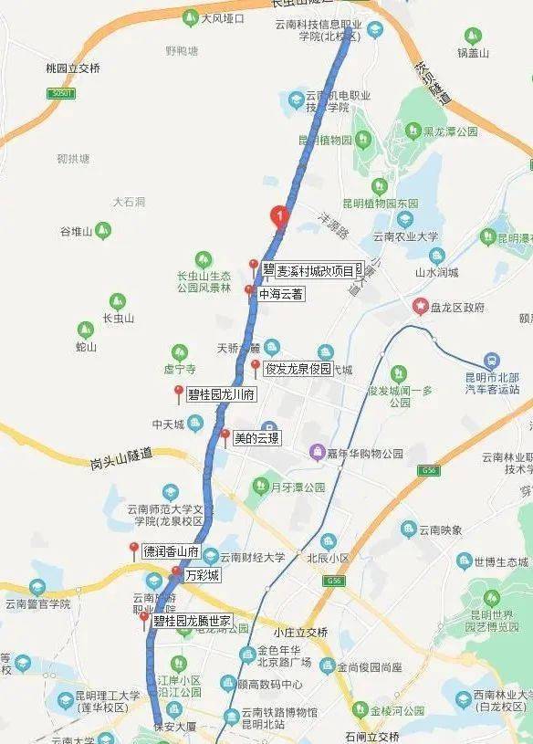 约12公里的昆明龙泉路除了教育资源还有什么