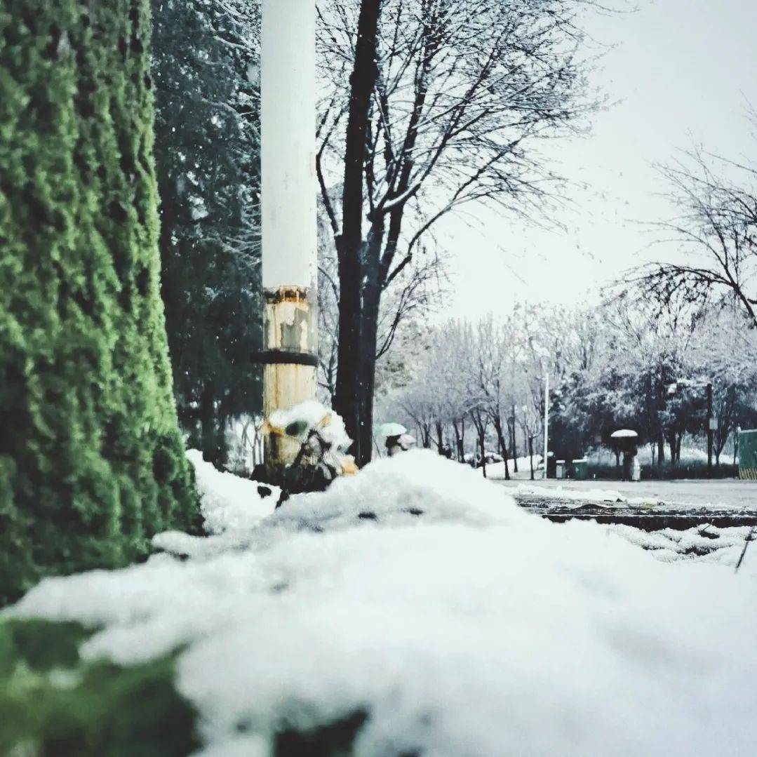 铃什么雪成语(3)