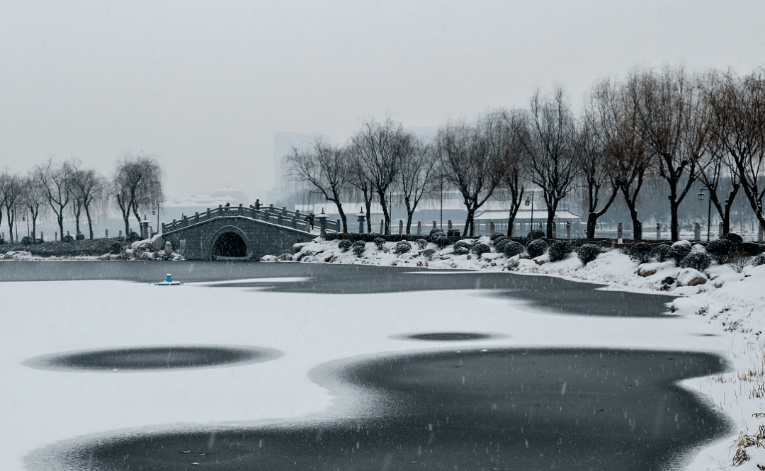 一场雪,才知道素颜的曲江池有多美