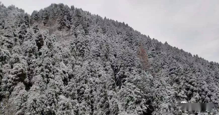 昨日,太阳湾初雪到!冬天的这些仪式感你应该提前get!