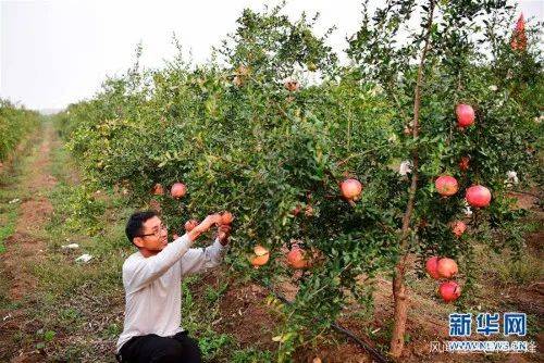 南阳人口下滑_南阳火车站图片(2)