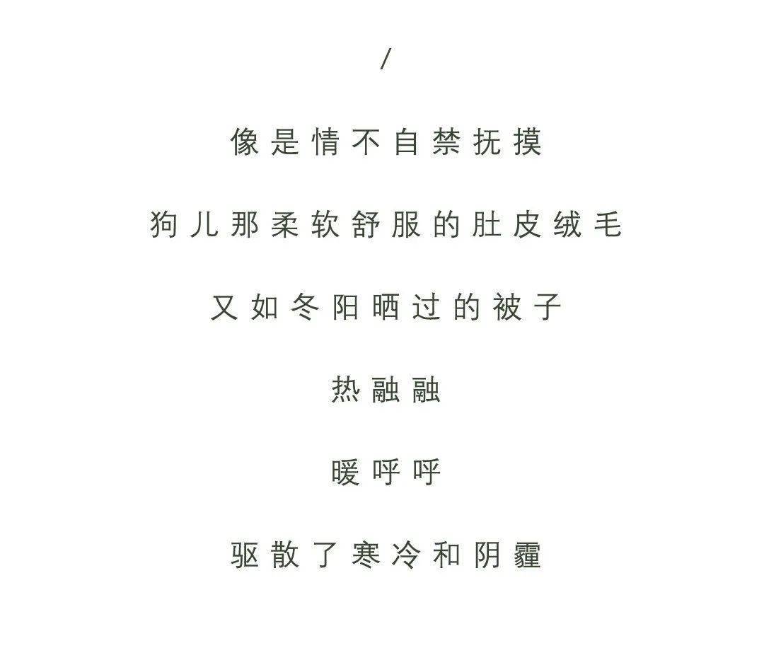 048ab5f1d3e442acb1fdab32165f14d4.jpeg