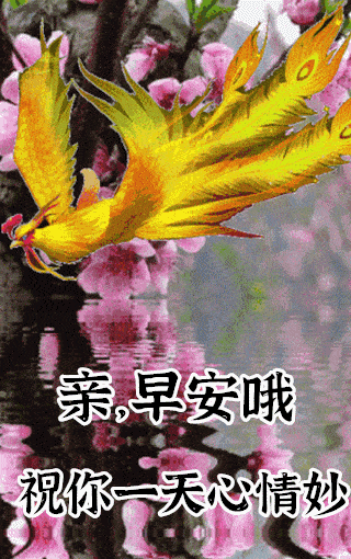 早安心语正能量语录 11-25 07:00 订阅 1,是闪动的群星为天空织下