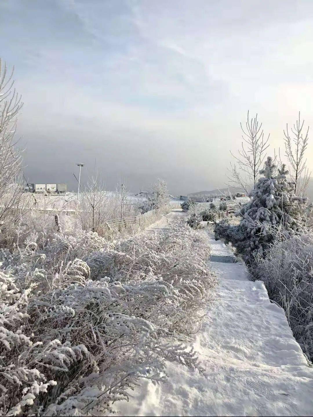 没看够昨天的雪?这些绝美的登封雪景图打包送给你