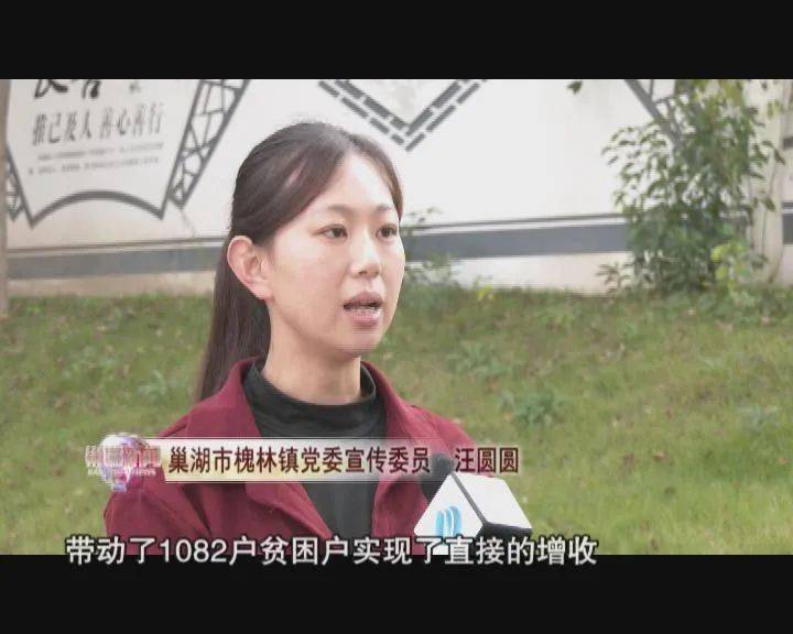 巢湖新闻巢湖市槐林镇精准扶贫一个都不能少