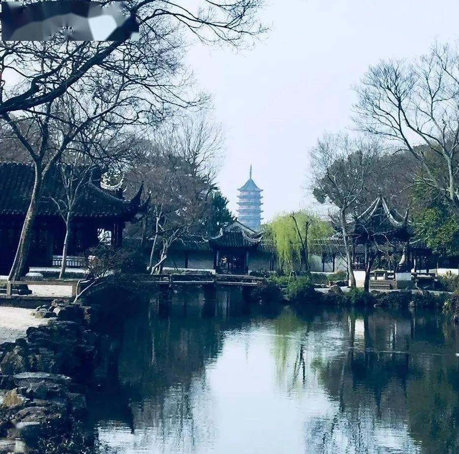手机搜狐网