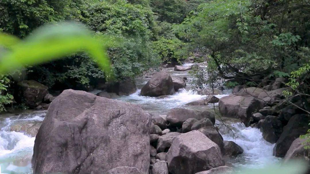 千家峒瑶族乡:成为"全国森林康养基地试点建设乡镇"