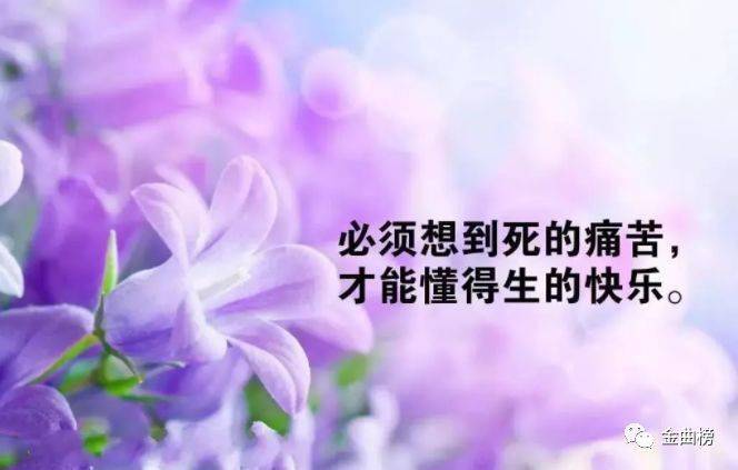 8b6712add7a54eb186e6f901fe397271.jpeg