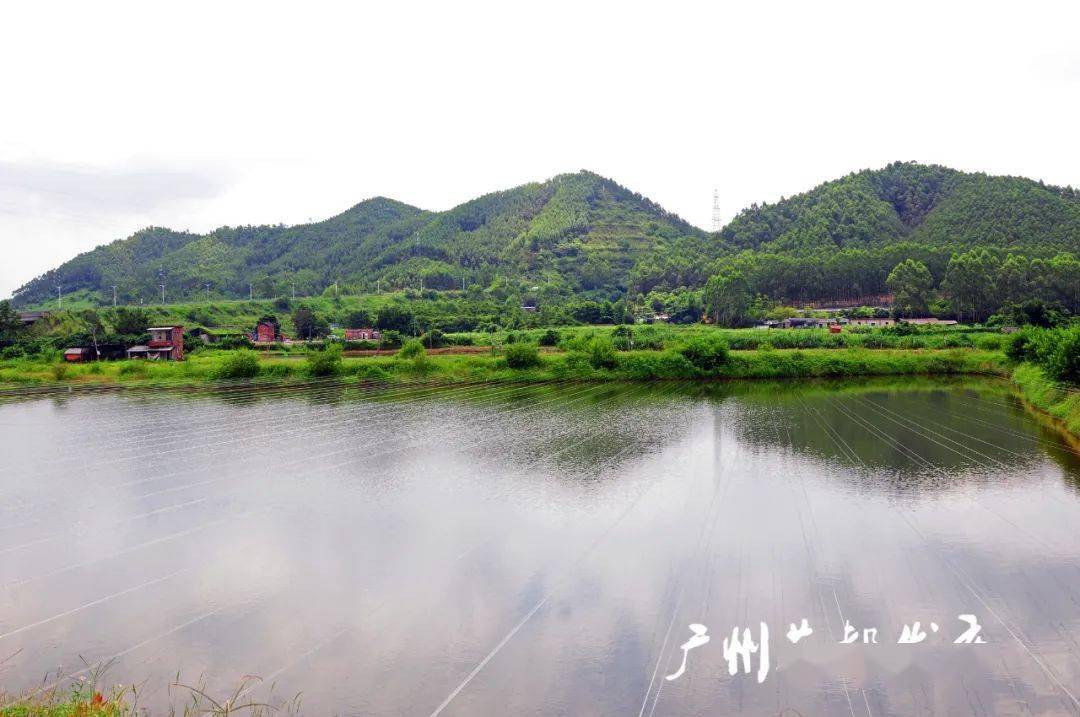 地址:广州花都新赤公路义山路口逸翠园逸翠园位于赤坭竹洞村,白墙灰瓦