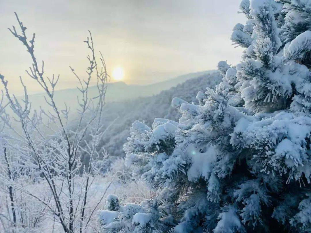没看够昨天的雪?这些绝美的登封雪景图打包送给你