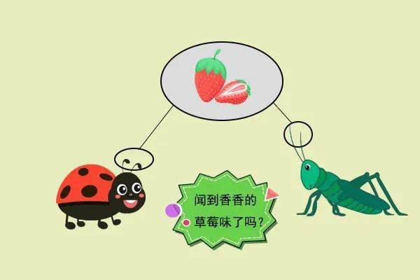 你知道昆虫靠什么闻到气味吗?