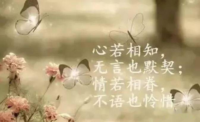 d86441e6033a48aaad73b0b5afc83b54.jpeg
